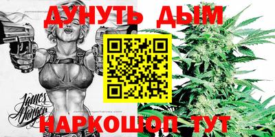 дмт Обь