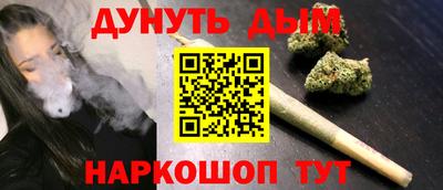 дмт Обь